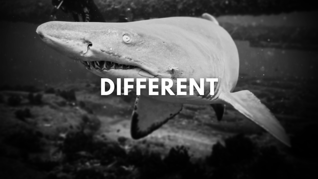 Different Marketing Agency for Coastal NC