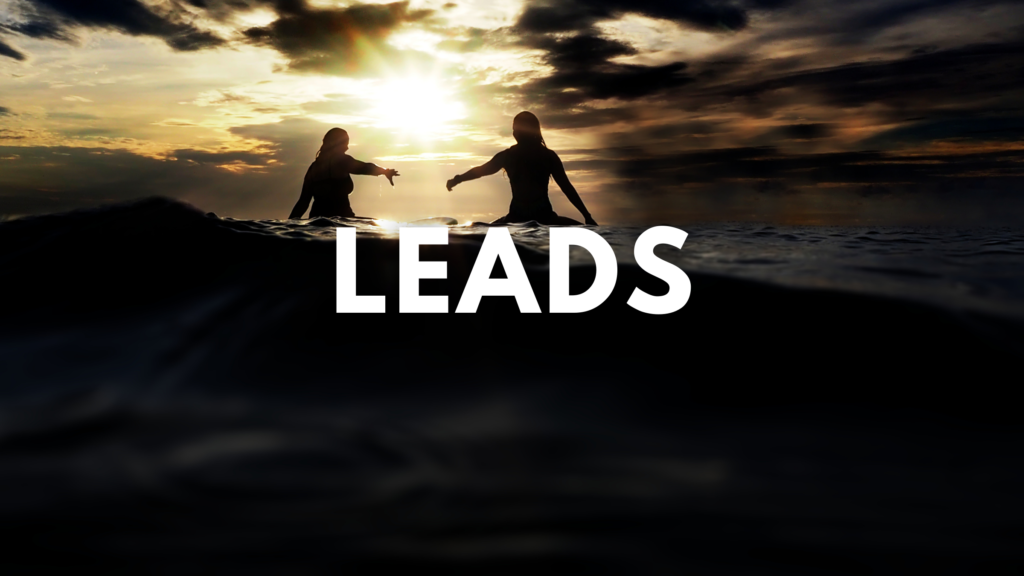 Mad Pelican Lead Generation Services