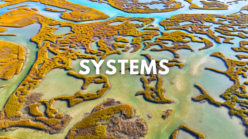 Digital Marketing Systems