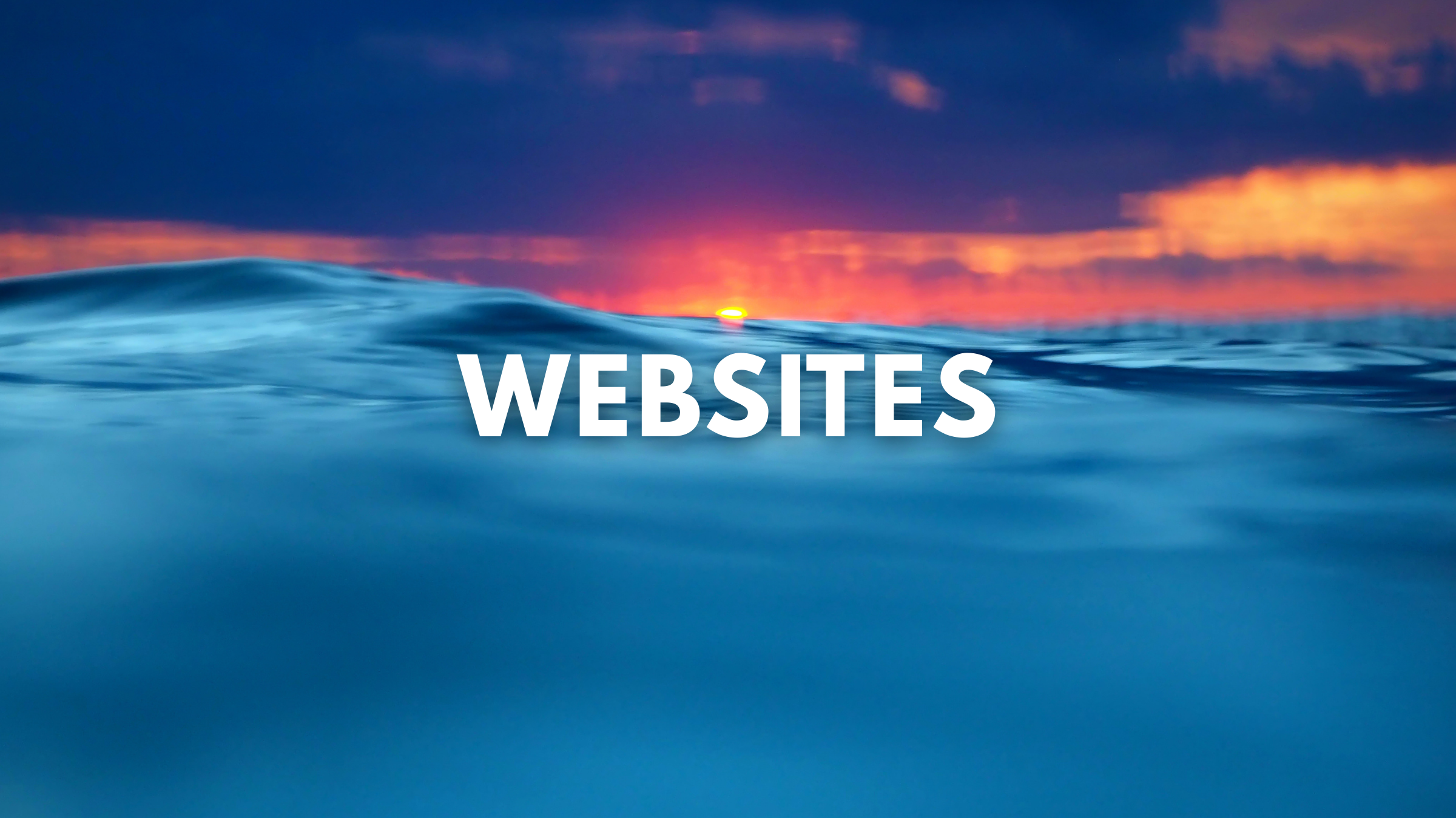 Mad Pelican Website Services