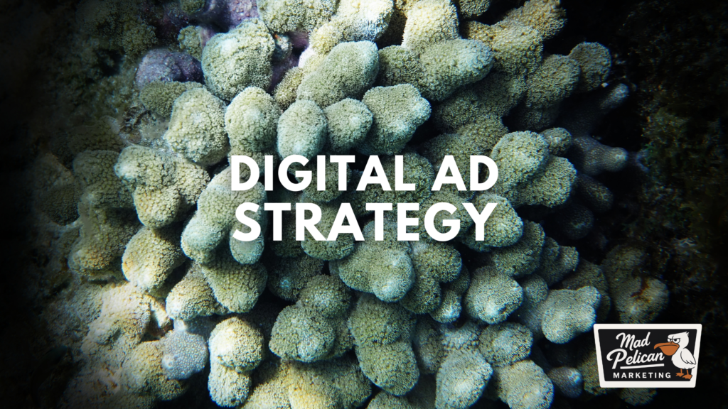 Digital Ad Strategy at Mad Pelican