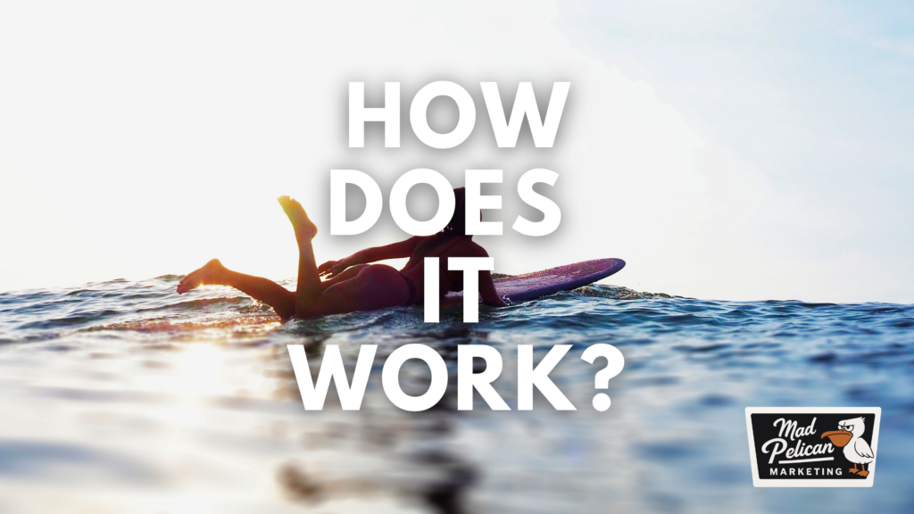 How Does Mad Pelican Services Work