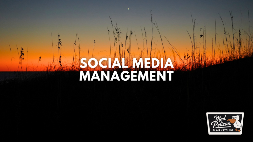 Social Media Management