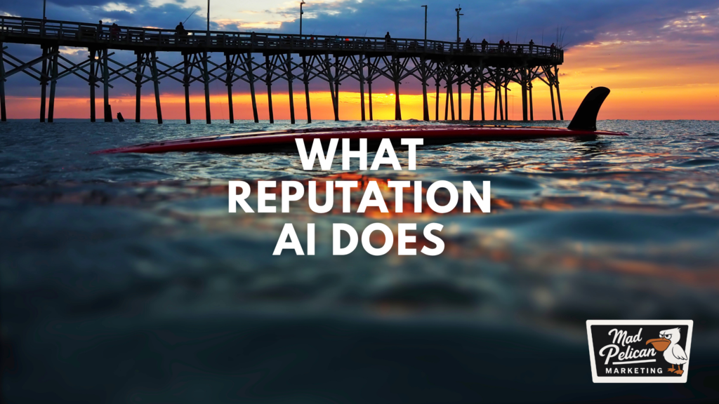 What Reputation AI Does